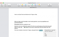 如何在Mac上的Pages中使用拼写检查和自动更正