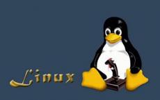 Linux恶意软件对消费者物联网设备的崛起