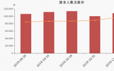 两家交易所合计占美国市场所有已报告股票交易的51.75%