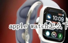 教大家apple watch苹果手表怎么下载app的方法