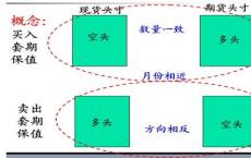 衍生品市场纽约证券交易所利夫计划在AMX指数中引入期货和期权