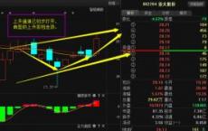 TCS股价在另一季度的强劲盈利中飙升