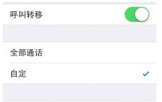 介绍苹果手机iPhone怎么设置呼叫转移