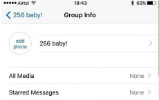 Whatsapp组限制限制为256个成员