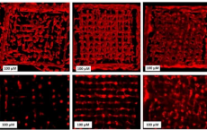 将活细胞整合到3-D打印机中创建的精细结构中