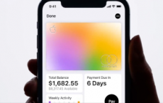花旗集团因担心利润而获得Apple Card的保释