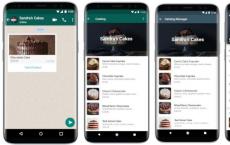WhatsApp将让您直接在应用程序中浏览公司的产品