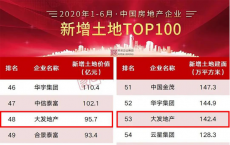 大发地产上半年260亿拿地，新增土地价值位列TOP48