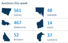 数据显示本周有561处悉尼房屋计划拍卖 高于上周的398处 