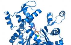 新方法有望随时获得难以研究的蛋白质