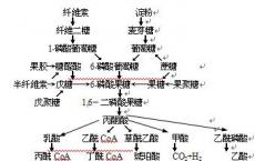 科普下细菌碳水化合物的代谢试验的原理