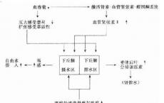 科普下肾素醛固酮系统的试验是什么