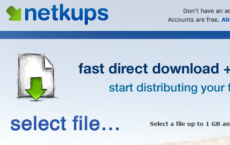 Netkups 具有Torrent分发的文件托管服务商