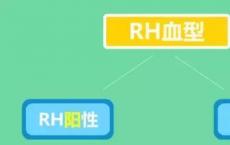 介绍下Rh系统血型鉴定的方法及操作