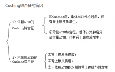 介绍下肾上腺皮质疾病有哪些