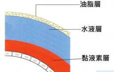 介绍下泪液有哪些功能？--检验学职称考试