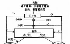 科普下下丘脑-垂体-肾上腺皮质轴功能检测及动态功能试验