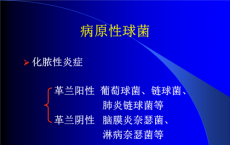 科普下《微生物学及检验》第十三章：病原性球菌及检验