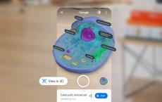 Google可以直接在搜索页面上为您提供AR科学课程