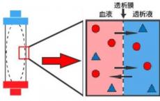 介绍下什么是渗透溶质清除率测定（Cosm）