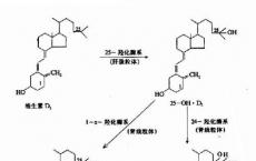 科普下《临床化学》：钙、磷、镁代谢与微量元素