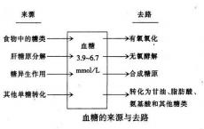 介绍下血糖的来源与去路分别是什么