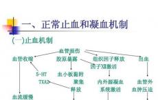 科普下血液凝固机制知识点复习题