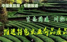 筠连特色农产品报道 醒世茶业博物馆里读茶道品香茗