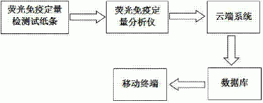 介绍下《临床免疫学及检验》第八章：荧光免疫技术