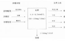 介绍下血糖的来源与去路知识点复习题