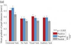 研究人员从人类瞳孔反应揭示注意力状态与情绪之间的关系