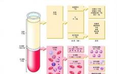 介绍下血清总蛋白和白蛋白、球蛋白比值测定的临床意义是