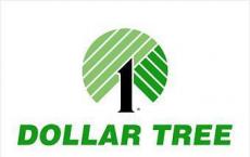 Dollar Tree首席执行官想知道销售激增能持续多长时间