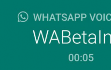 WhatsApp Beta的新更新使语音和视频通话之间的切换更加容易