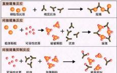 介绍下抗原抗体反应的特点有哪些