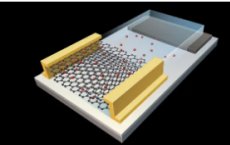 工程师用碳原子的二维蜂窝结构构造了一个基于石墨烯的人