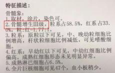 介绍下正常骨髓象知识点小结有哪些