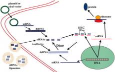 研究人员发现RNA-seq技术产生的数据中经常出现技术偏见