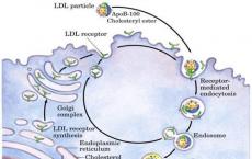 科普下低密度脂蛋白胆固醇测定（LDL-C）的临床意义是什么