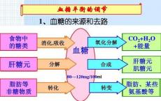 科普下血糖的来源和去路是什么