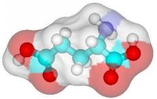 研究人员研究了一类天然蛋白质 发现该蛋白质可以模仿苍