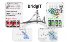 BridgIT识别用于孤儿和新型酶反应的候选基因和催化蛋白