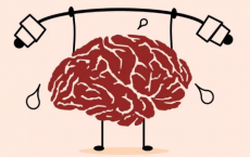 另一项研究表明锻炼可以为大脑老化带来巨大益处
