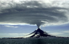 研究人员用纳米火山研究心脏细胞