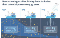 新技术使船队能够将捕捞能力提高一倍