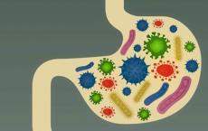 肠细菌肠型显示与抑郁症有关