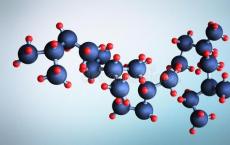 创新方法可以在分子水平上提高对身体中许多过程的理解