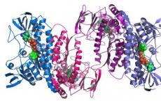 确定蛋白质结构的新技术可能解决生物医学难题