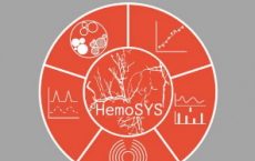 科学家开发了免费的计算机程序来绘制肿瘤的血流景观