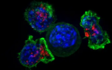 剑桥科学家获得4100万英镑促进癌症研究